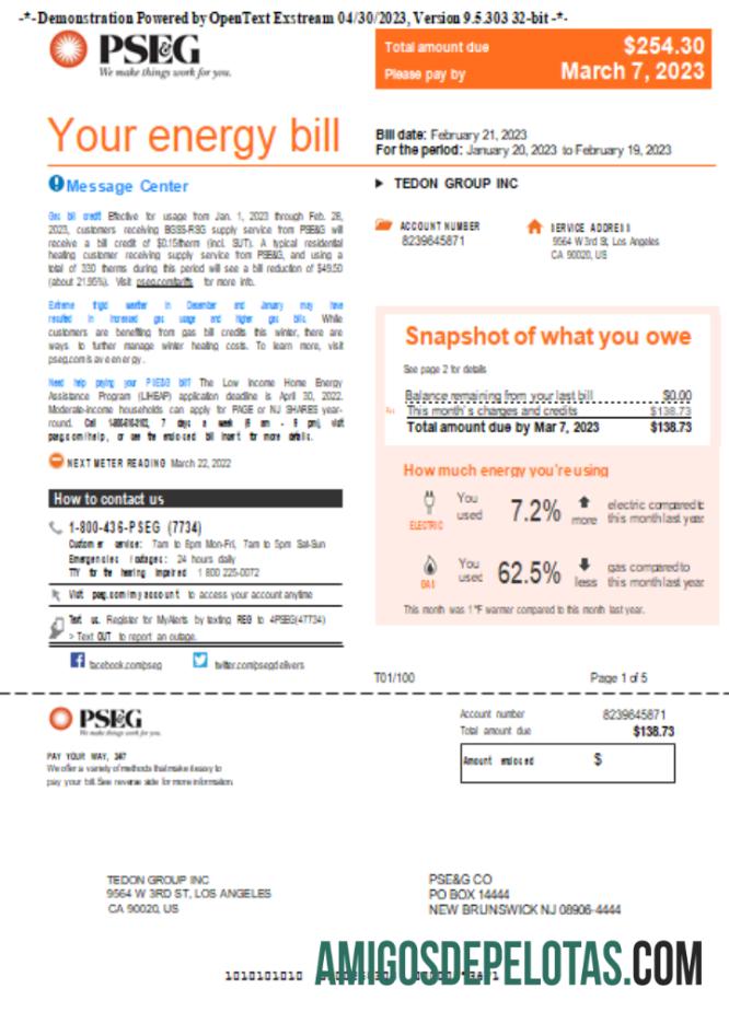 Projeto de lei de serviços públicos PSEG de Nova York, página 1, SCR baixar para verificação